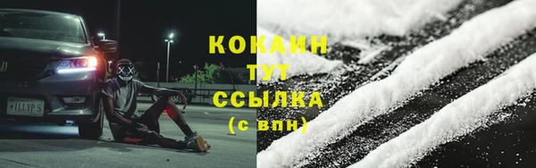 дживик Баксан