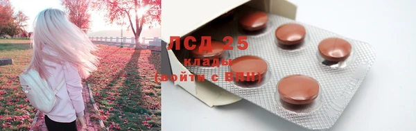 мяу мяу мука Артём
