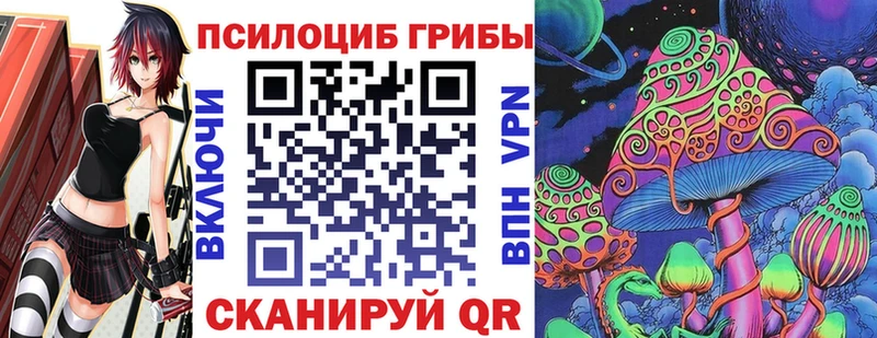 что такое   Балахна  дарк нет наркотические препараты  Псилоцибиновые грибы Psilocybe 